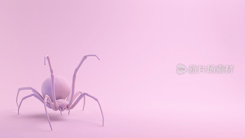 粉红系列黑寡妇蜘蛛攻击姿势