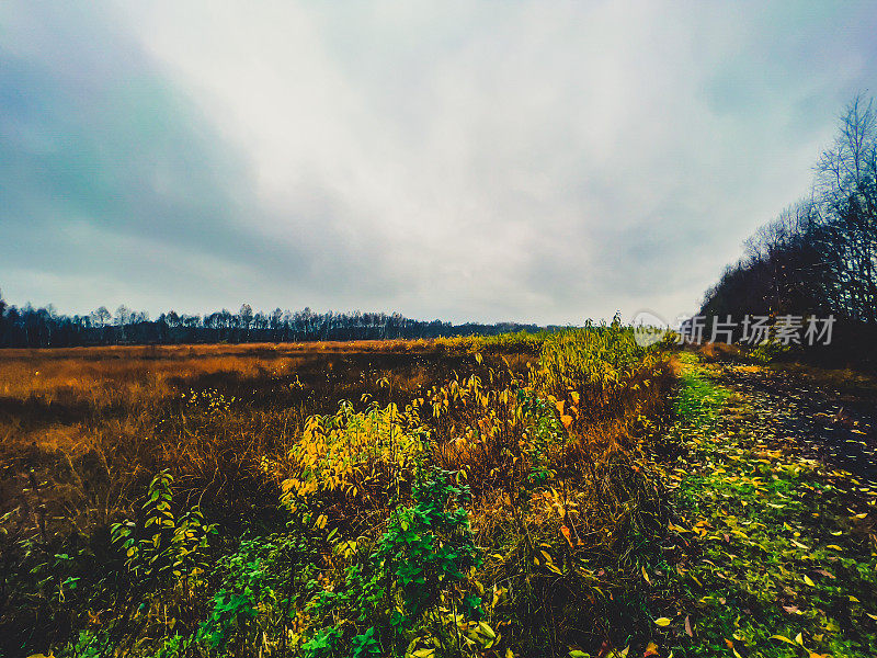 沼泽地里美丽的秋景。