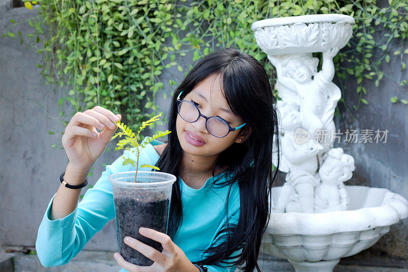 泰国少女正在检查年轻的热带植物