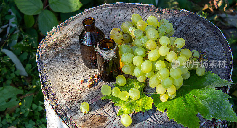 葡萄籽油玻璃罐和新鲜葡萄，用于水疗和身体护理。概念水疗、生物、生态产品。