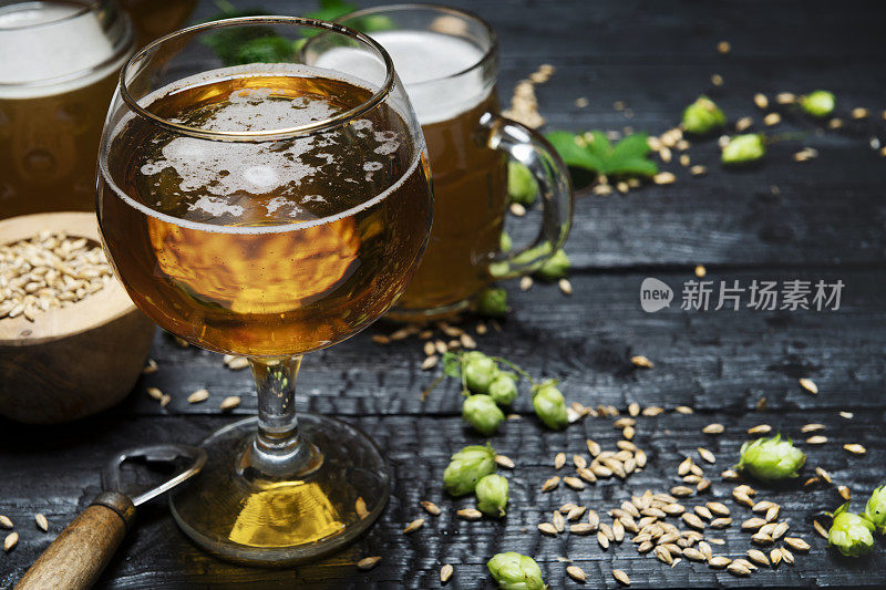 啤酒杯绿色啤酒花和小麦在木制黑色背景