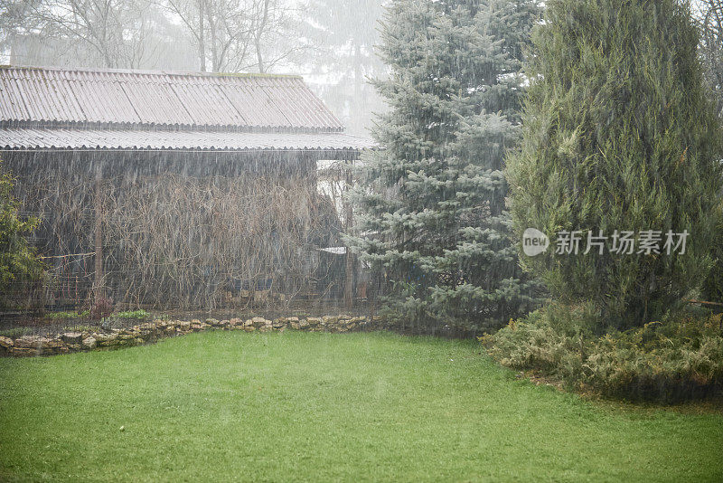 花园里下着暴雨