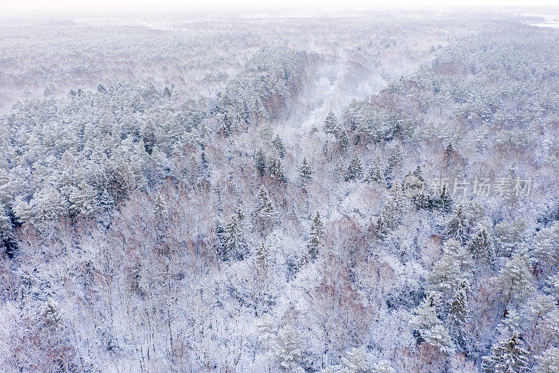 覆盖着雪的混交林鸟瞰图。