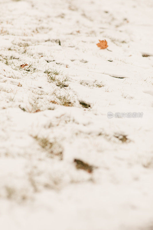 2022年12月，俄亥俄州奇利科特的雪天里，奇形怪状的雪树