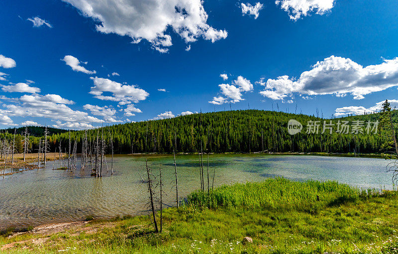 在美国西部一个宏伟的自然区域的令人惊叹的湖泊