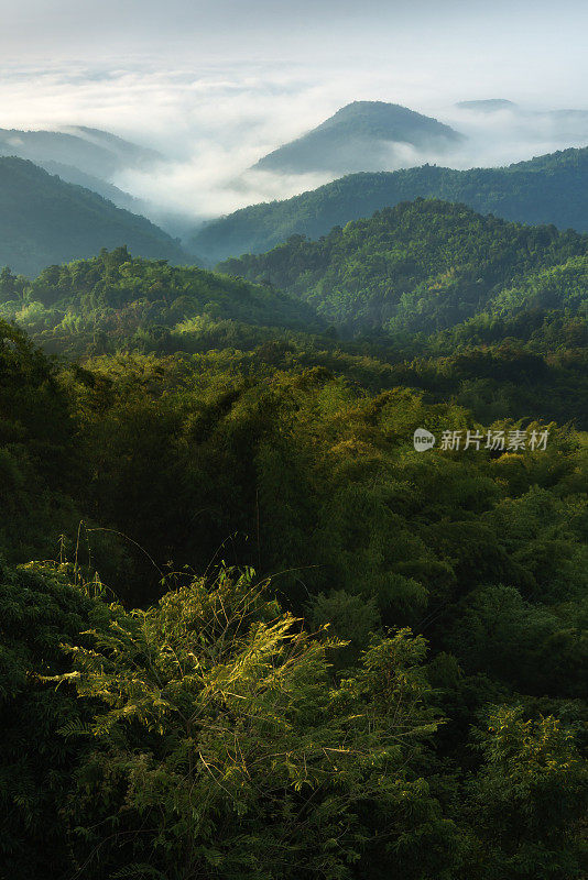 美丽的阳光在山上，一个雾蒙蒙的早晨在清莱，泰国