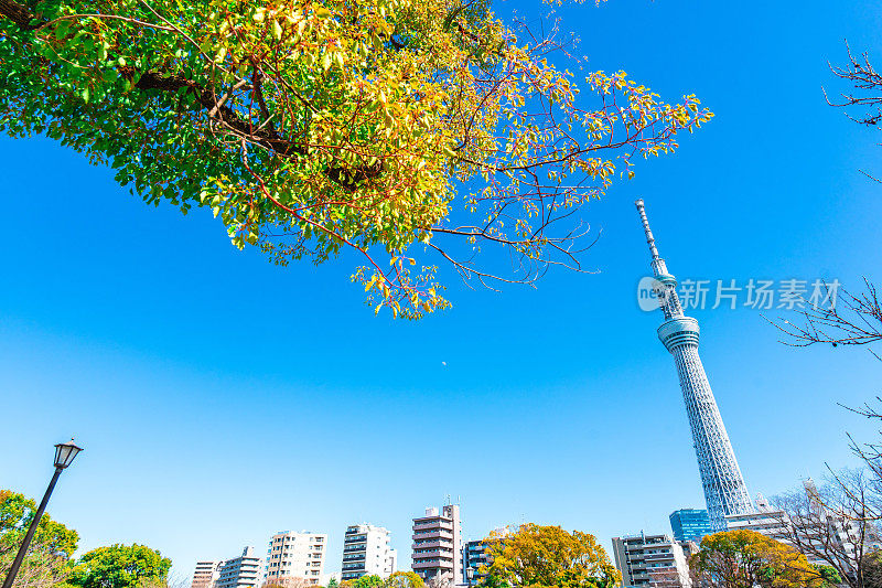 东京天空树在日本被包围的镜头