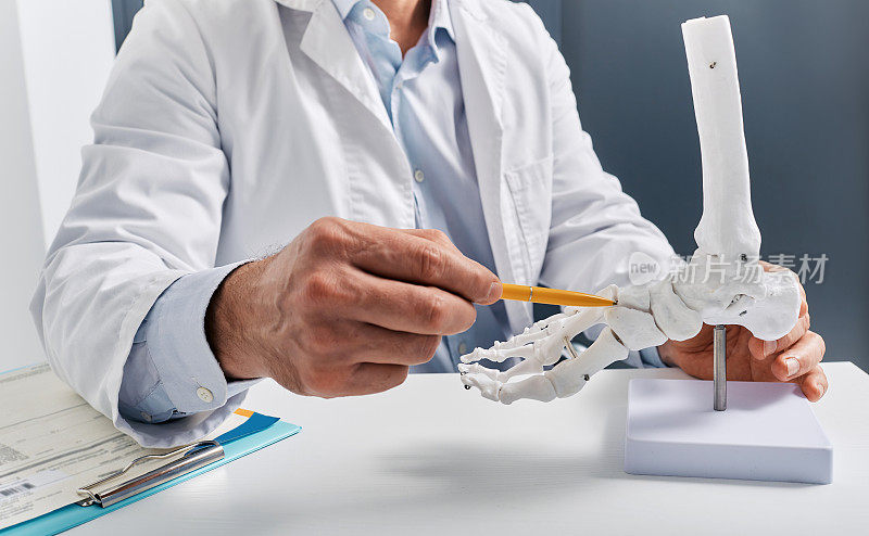 解剖足骨骼模型在医生的手特写，而在骨科诊所咨询。创伤学，腿部损伤的治疗
