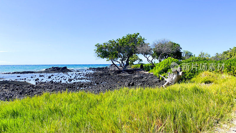 夏威夷的海岸线