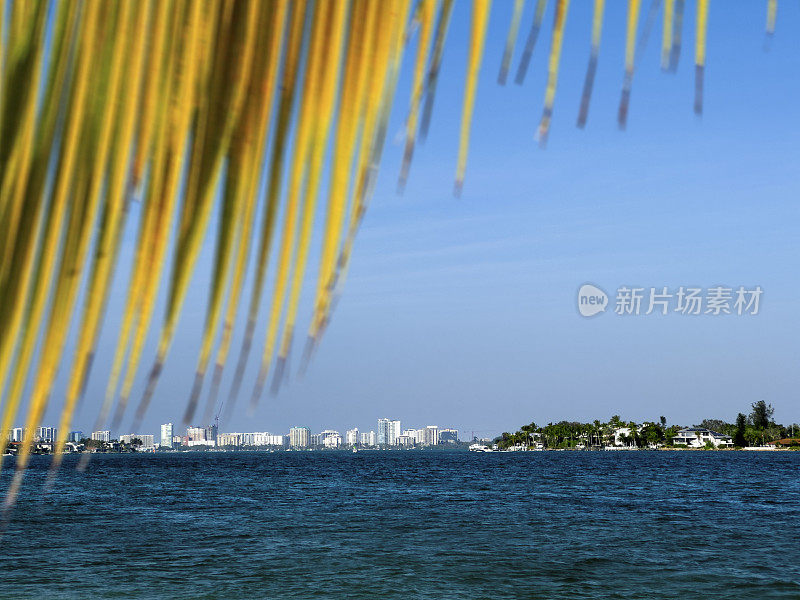 热带海滨小镇萨拉索塔在阳光明媚的日子里勾勒出天际线