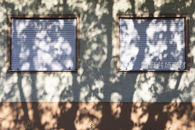 两个百叶窗上的树影