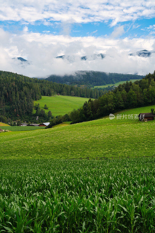 阿尔卑斯山全景