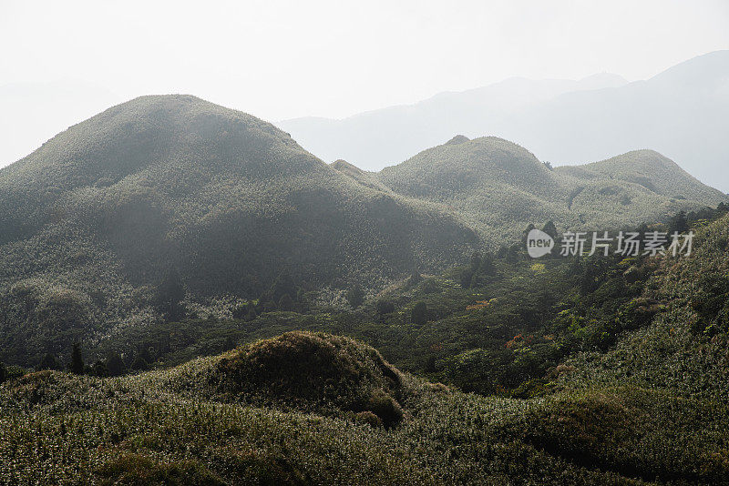 黎明时分的阳明山国家公园