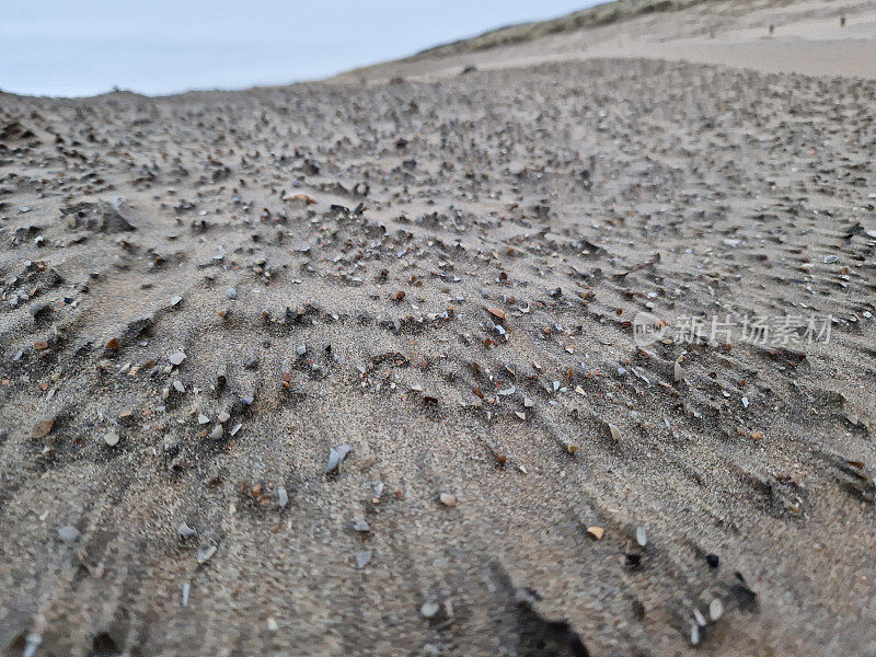 海风吹过的海滩上的低角度海贝壳，风在沙滩上创造了图案