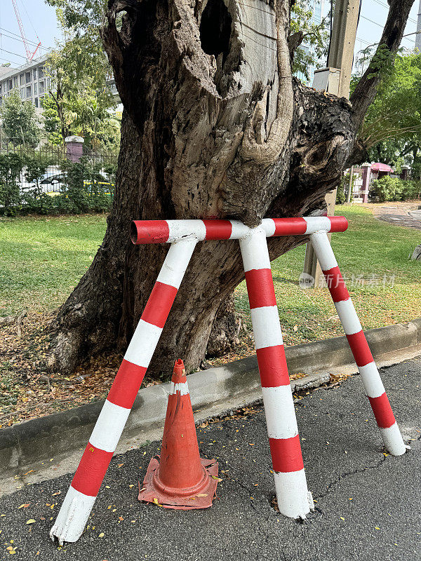 特写画面，不稳定的树斜倚在住宅区的柏油路上，树干由红白条纹金属支撑，三腿支柱，塑料路锥，重点放在前景