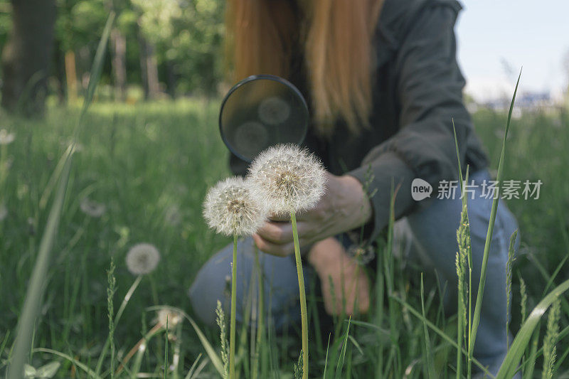 环境植物植物学