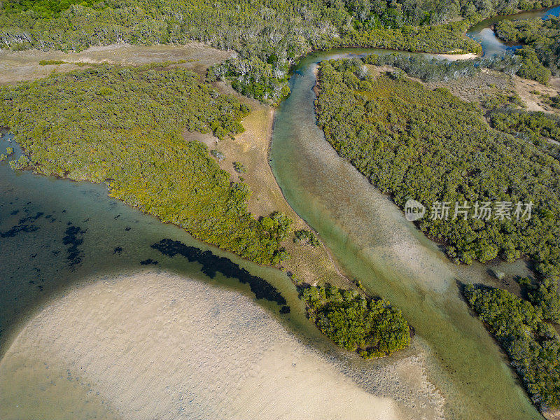 沿海红树林生态系统