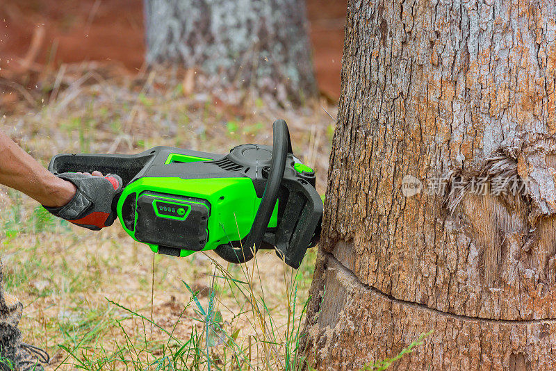 链锯是专业伐木工人在森林里砍伐树木时使用的