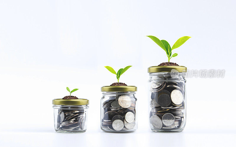 投资利润增长，利息增加。许多硬币在玻璃罐里，根据钱的多少有不同大小的植物。