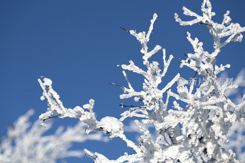 从滑雪坡在Kvitfjell高山滑雪胜地在挪威