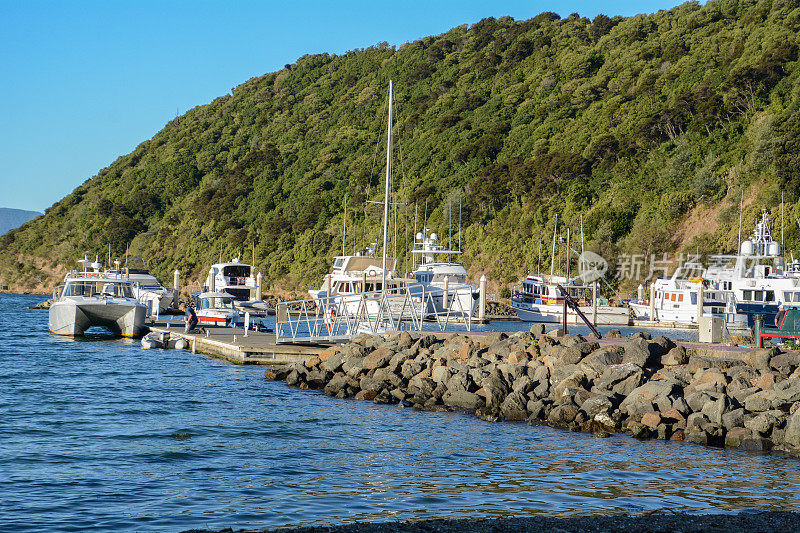 马尔伯勒峡湾的前海岸景色