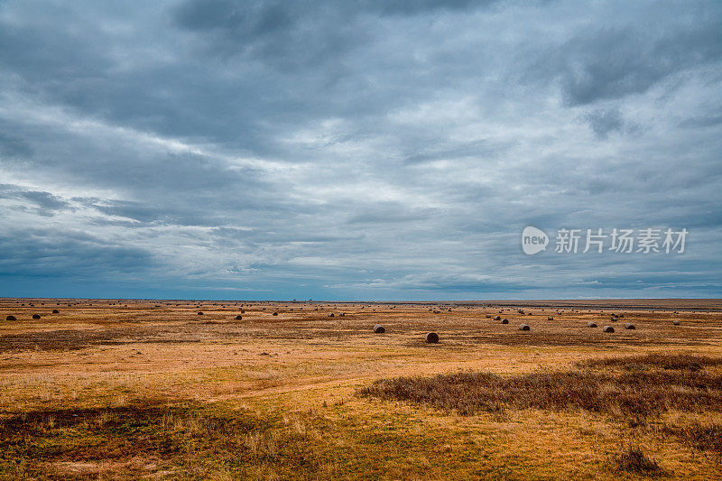 中国内蒙古呼伦贝尔草原的秋色