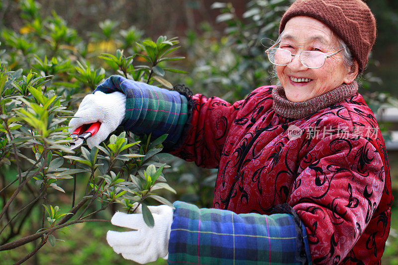 一位年长中国妇女在花园里工作