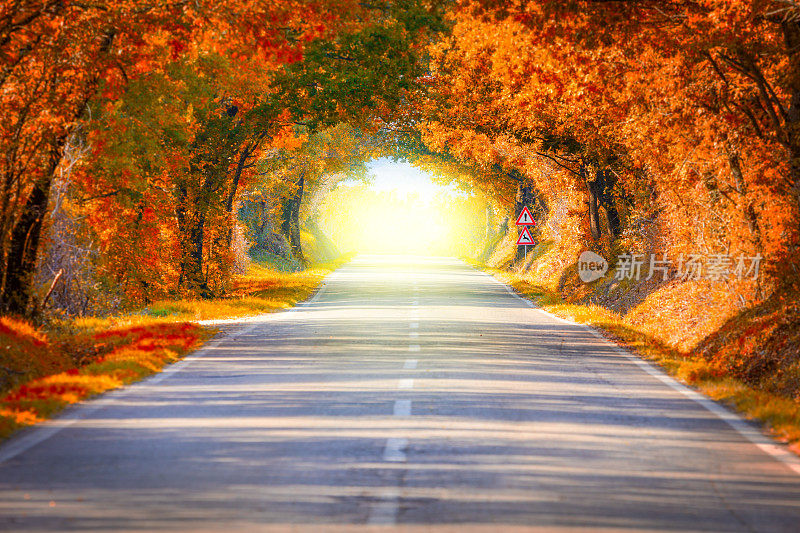 秋风秋水之路景观——绿树调音，幻光