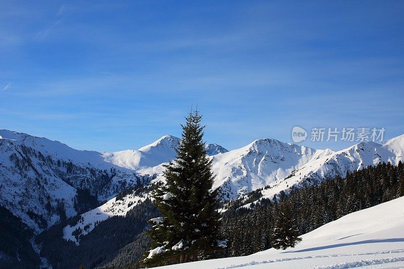 冬季奥地利萨尔巴赫马戏团滑雪胜地