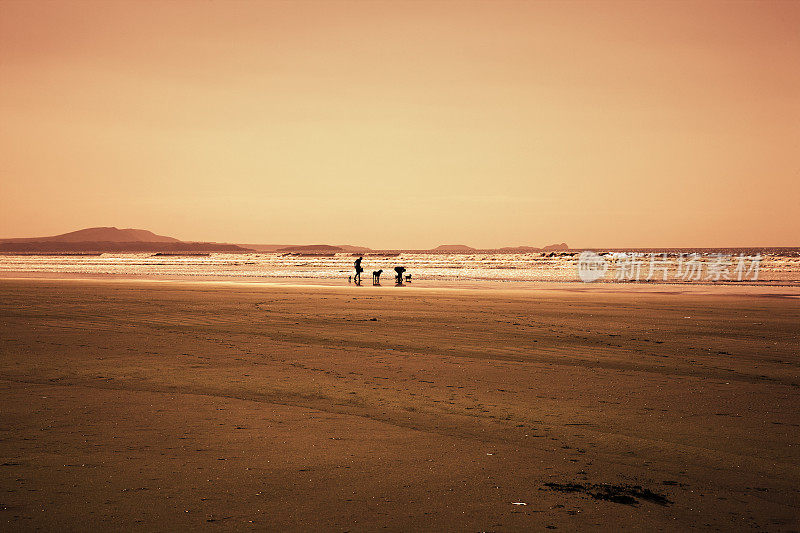 遛狗的人在威尔士长长的海滩上剪影