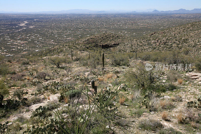 亚利桑那州图森市上空的沙漠景观