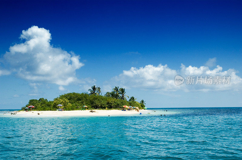原始热带绿松石水岛海滩椰子树。