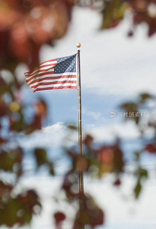 秋叶背后的美国国旗-垂直(XXXL)