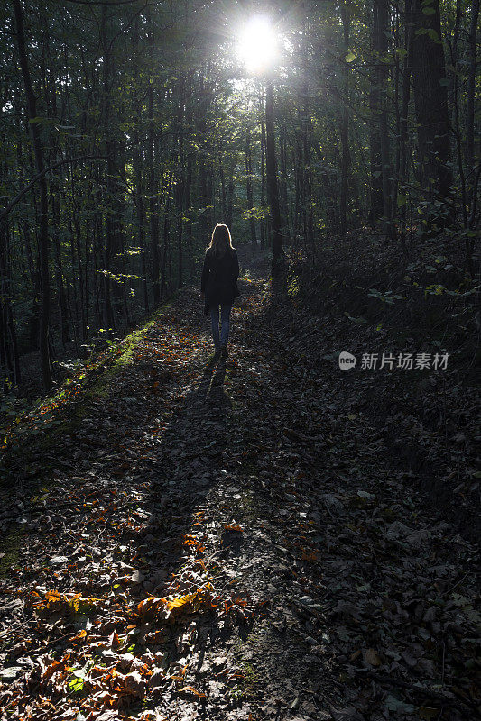 女孩穿过黑暗的森林朝太阳走去