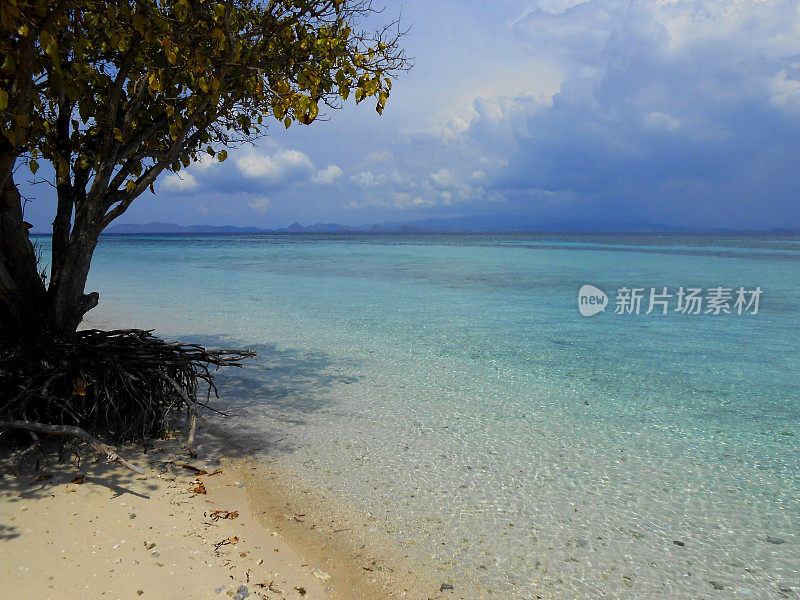 印度尼西亚卡纳瓦岛的透明海洋