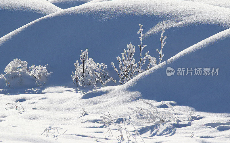 雪堆和白霜