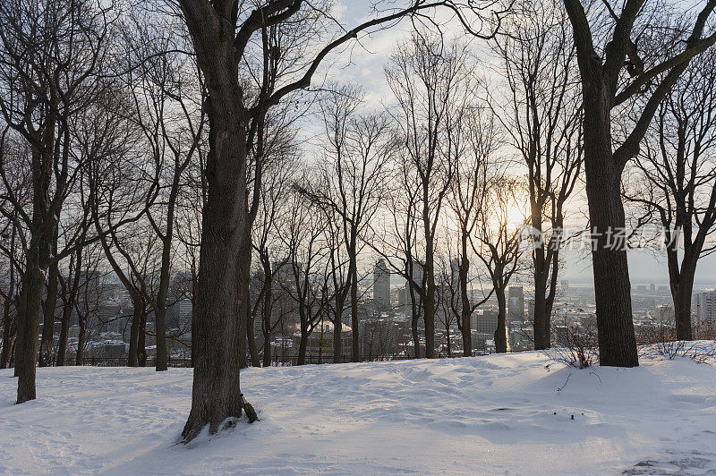 第一场雪从树林中看到了蒙特利尔