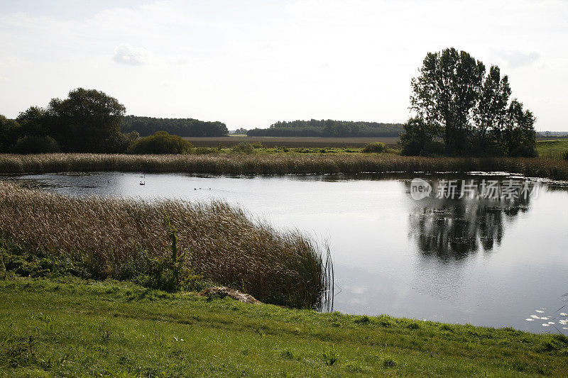 易北河在Tangermünde附近的旧河床(德国)