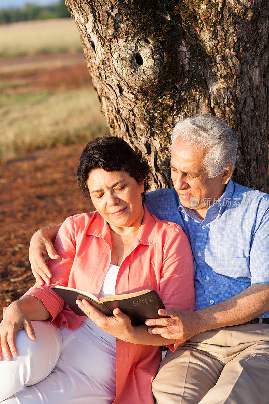老年夫妇在大自然中读书