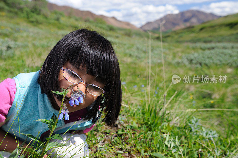 小女孩闻着阿拉斯加的蓝铃花