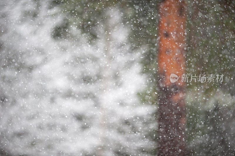 下雪的背景