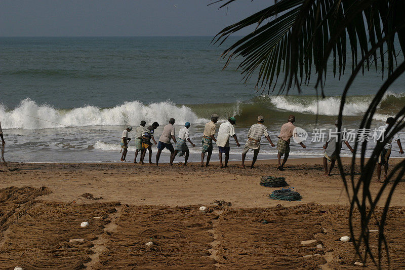 斯里兰卡的渔业工作排名第一