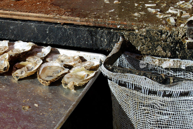 牡蛎剥壳表