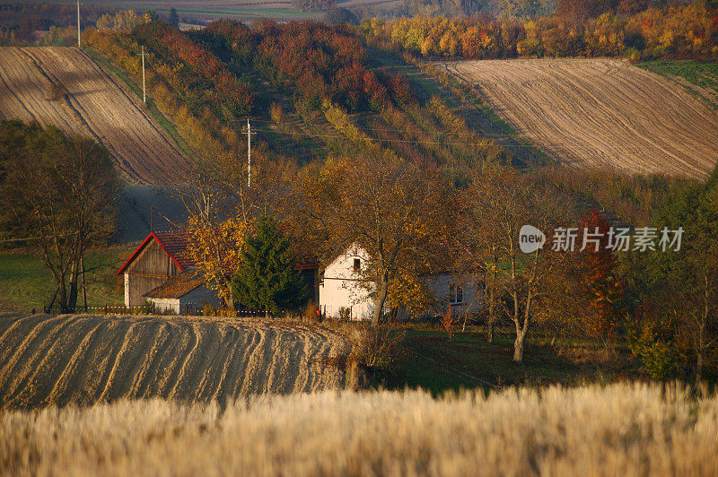 秋天的风景