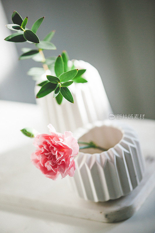 康乃馨和桉树叶装在漂亮的花瓶里