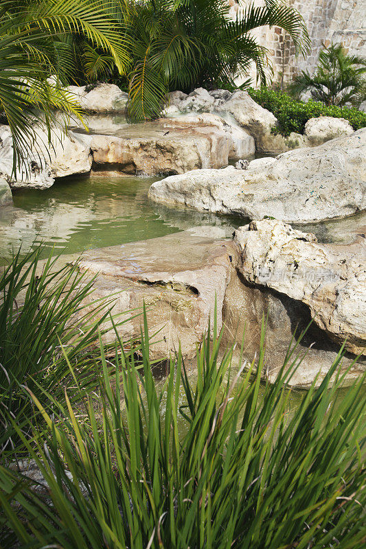 景观水景-花园池塘，小溪，瀑布，绿草，棕榈树
