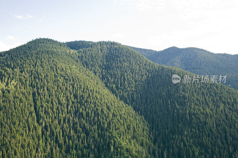 常绿森林荒野山地景观