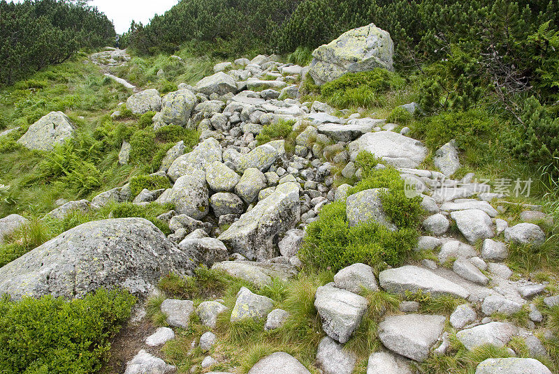 在山区道路