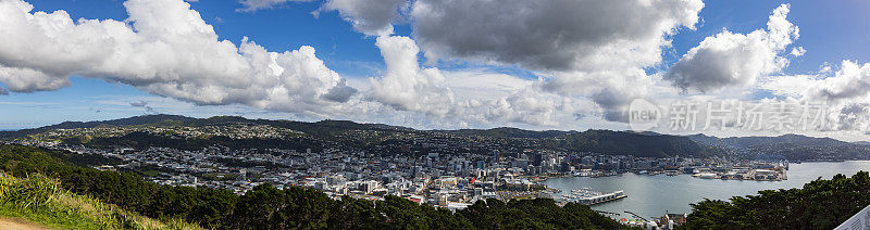 俯瞰新西兰惠灵顿的全景
