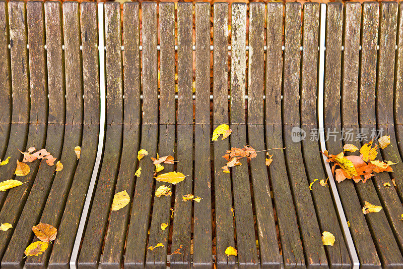长凳上的秋叶